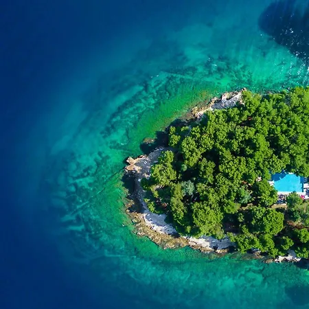 Отель Galijot Plava Laguna 4*