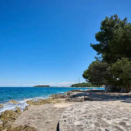 Galijot Plava Laguna بوريتش