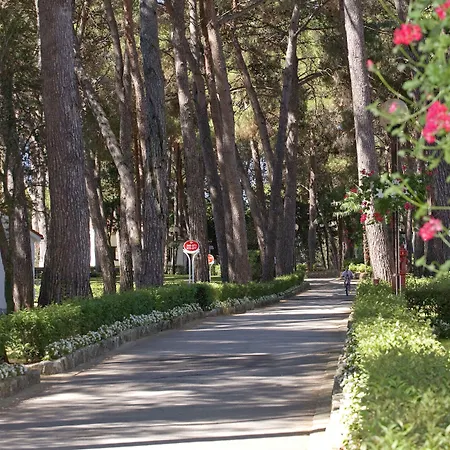 Galijot Plava Laguna بوريتش