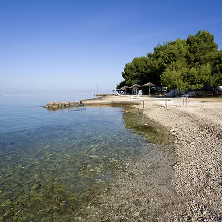 Galijot Plava Laguna بوريتش